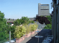 SG77BlickDKVHauptverw